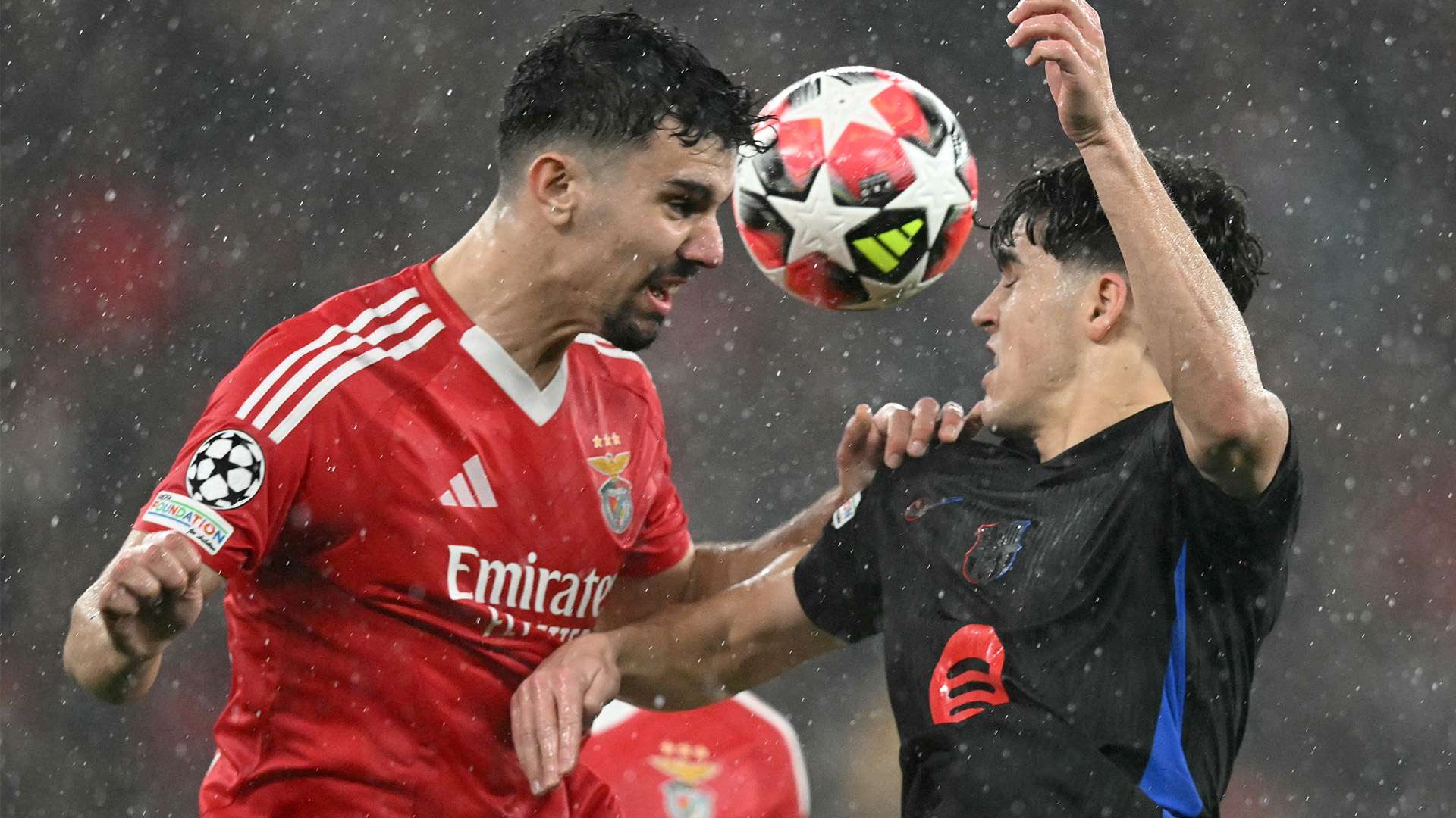 也将有助于 也将有助于