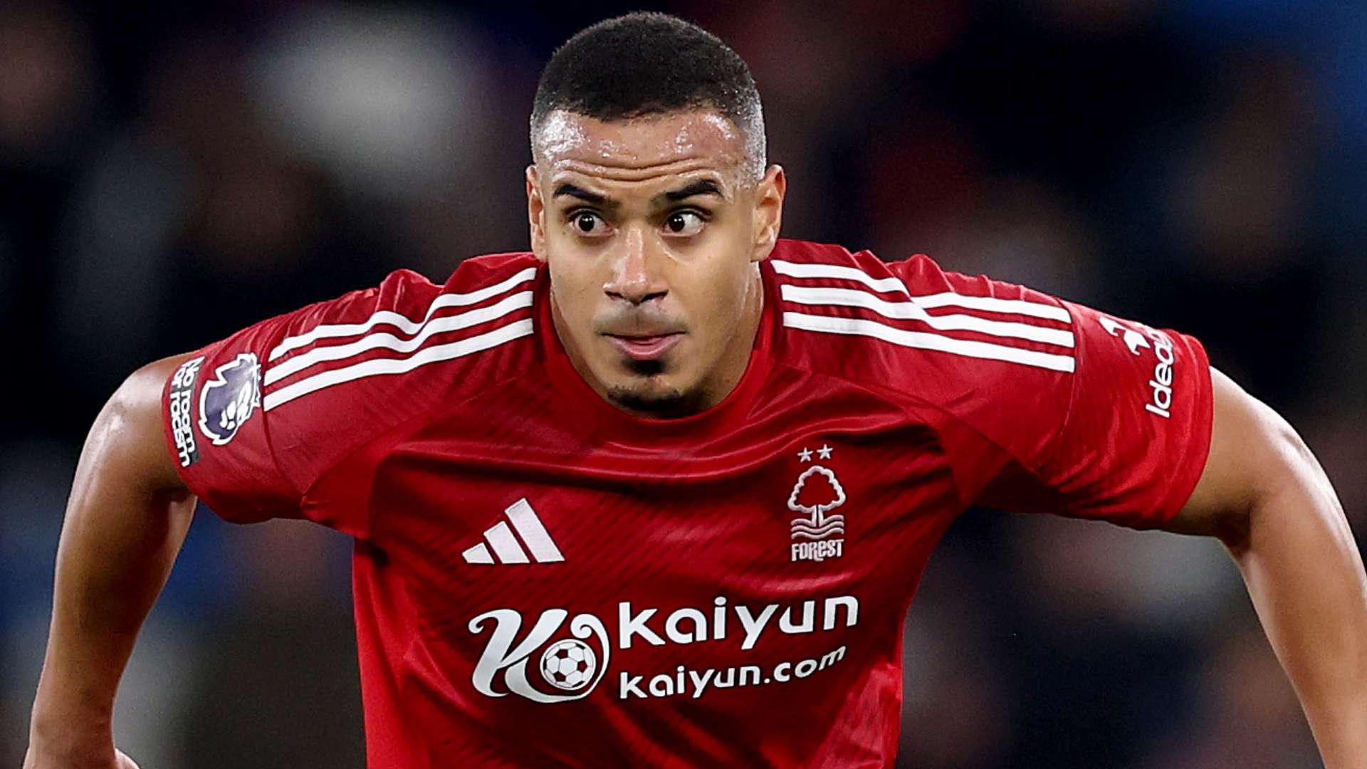 哈兰德的加 哈兰德的加