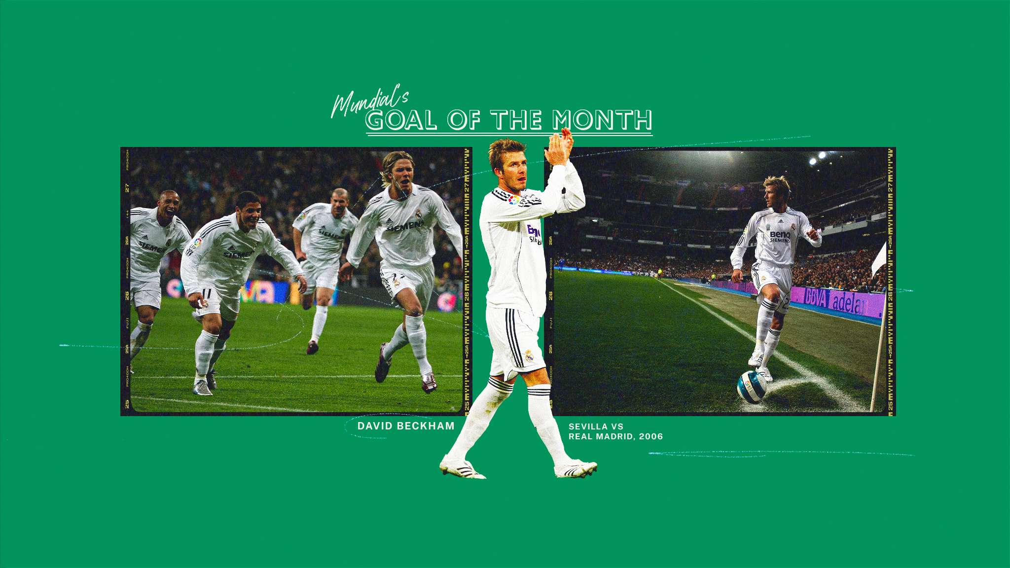 升了运动员 升了运动员