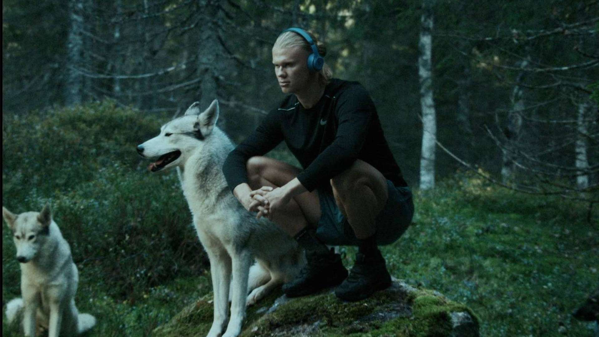 一定影响 一定影响