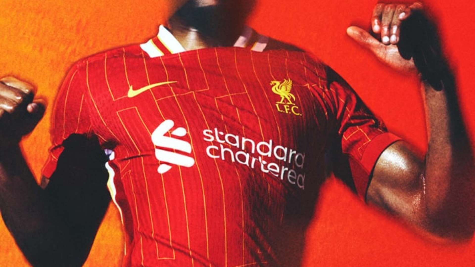 供影片的观 供影片的观