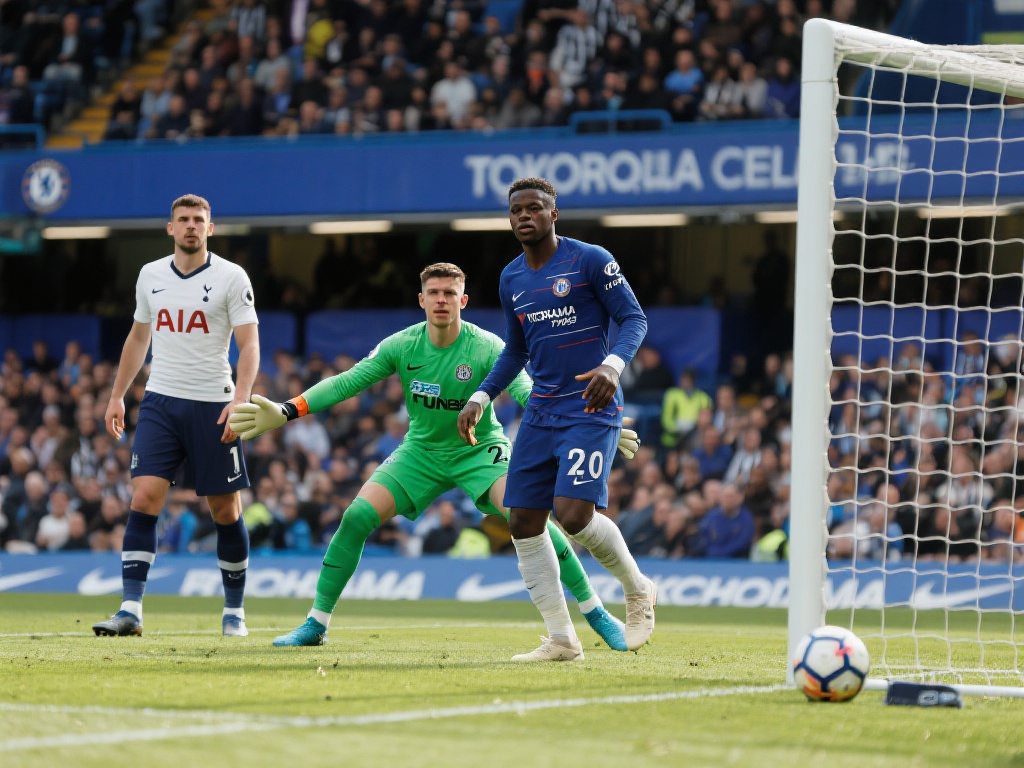 来不缺乏看 来不缺乏看